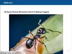 Sites similar to diedit.com