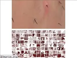 Sites similar to diegofermin.com