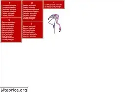 Sites similar to dieren-f-tot-j.clipartduo.nl