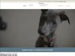 Sites similar to dierenkliniekdepijp.nl