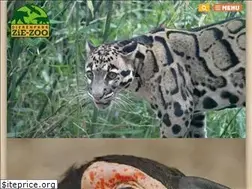 Sites similar to dierenparkziezoo.nl