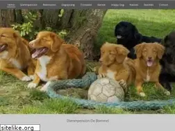 Sites similar to dierenpensiondebommel.nl