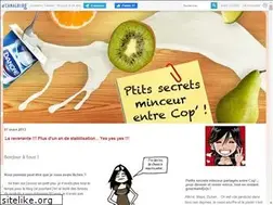 Sites similar to dieteplaisir.canalblog.com