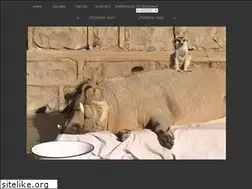 Sites similar to dieterherrmann.com