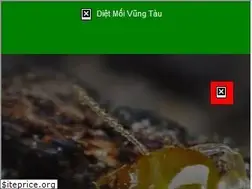 Sites similar to dietmoinhanh.vn