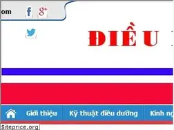 Sites similar to dieuduongviet.com