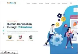 Sites similar to digibask.com
