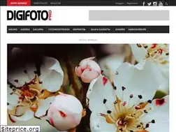 Sites similar to digifotopro.nl