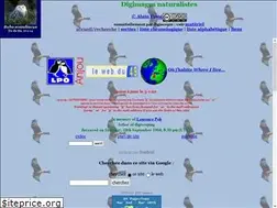 Sites similar to digimages.info