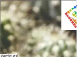 Sites similar to digiplastics.it