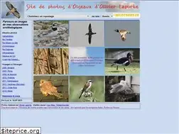 Sites similar to digiscopies.fr