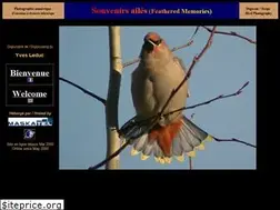 Sites similar to digiscoping.ca