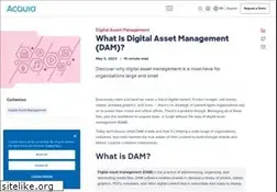 Sites similar to digitalassetmanagement.com