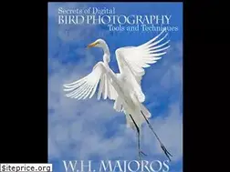Sites similar to digitalbirdphotography.com