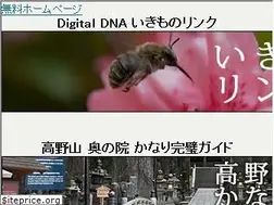 Sites similar to digitaldna.jp