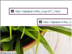 Sites similar to digitaljust.ro
