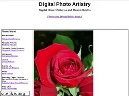 Sites similar to digitalphotoartistry.com