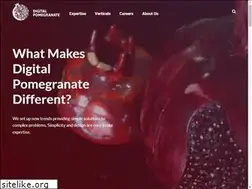 Sites similar to digitalpomegranate.com