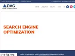 Sites similar to digitalvisibilitygroup.com