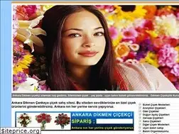 Sites similar to dikmencicek.net