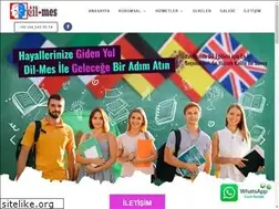 Sites similar to dil-mes.com.tr