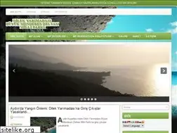 Sites similar to dilekyarimadasi.com
