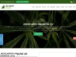 Sites similar to diligentplug.com