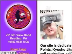 Sites similar to dillman.com