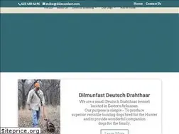 Sites similar to dilmunfast.com