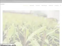 Sites similar to dimzas.com