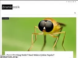 Sites similar to dinamikaralik.com