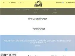 Sites similar to dinamikbisiklet.com