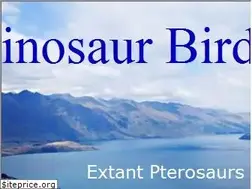 Sites similar to dinosaurbirds.com