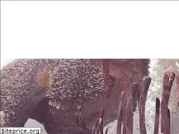 Sites similar to dinosauricon.com