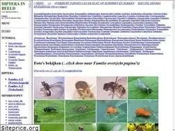Sites similar to diptera-in-beeld.nl