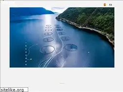 Sites similar to directocean.com