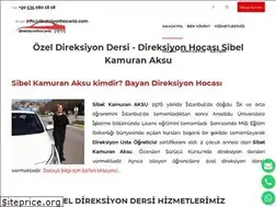 Sites similar to direksiyonhocaniz.com