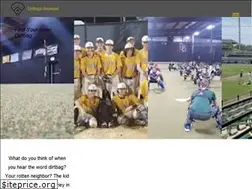Sites similar to dirtbagsbaseball.net