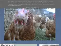 Sites similar to disasterfilm.blogspot.com