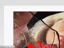 Sites similar to disconaivete.com