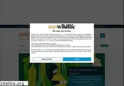 Sites similar to discoverwildlife.com