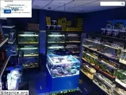 Sites similar to discusvigo.com