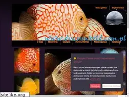Sites similar to discusworld.com.pl