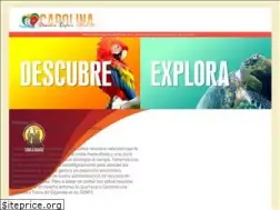 Sites similar to disfrutacarolina.com