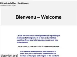 Sites similar to diuchirurgiemain.org