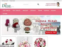 Sites similar to divacicek.com