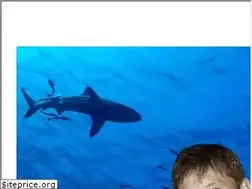 Sites similar to dive-together.de