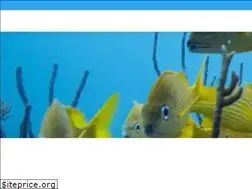 Sites similar to divecarib.com