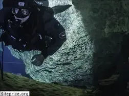 Sites similar to divegainesville.org
