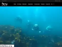 Sites similar to divenewquay.com